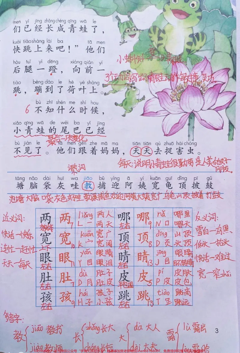 《二年级上册语文第一单元手写课堂笔记和知识点#教育#家长收藏孩子受益#小学语文资料分享#知识点总结》第3页预览
