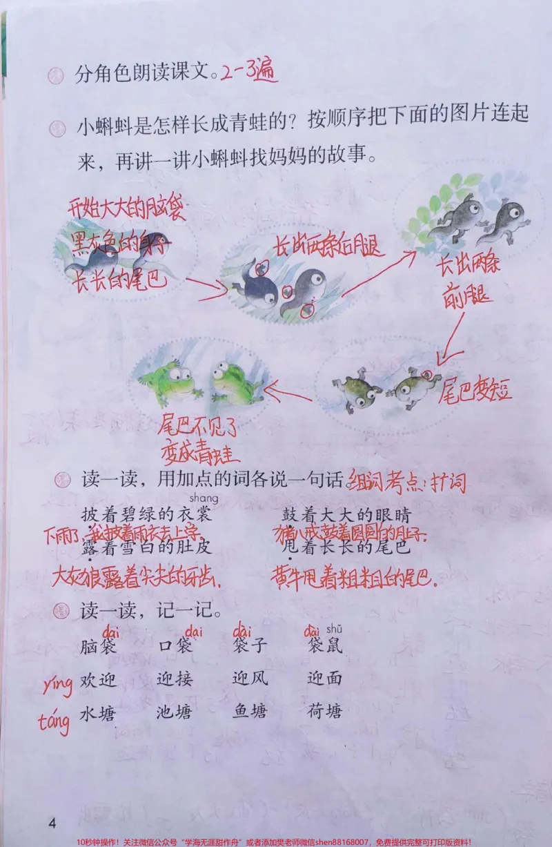 《二年级上册语文第一单元手写课堂笔记和知识点#教育#家长收藏孩子受益#小学语文资料分享#知识点总结》第4页预览