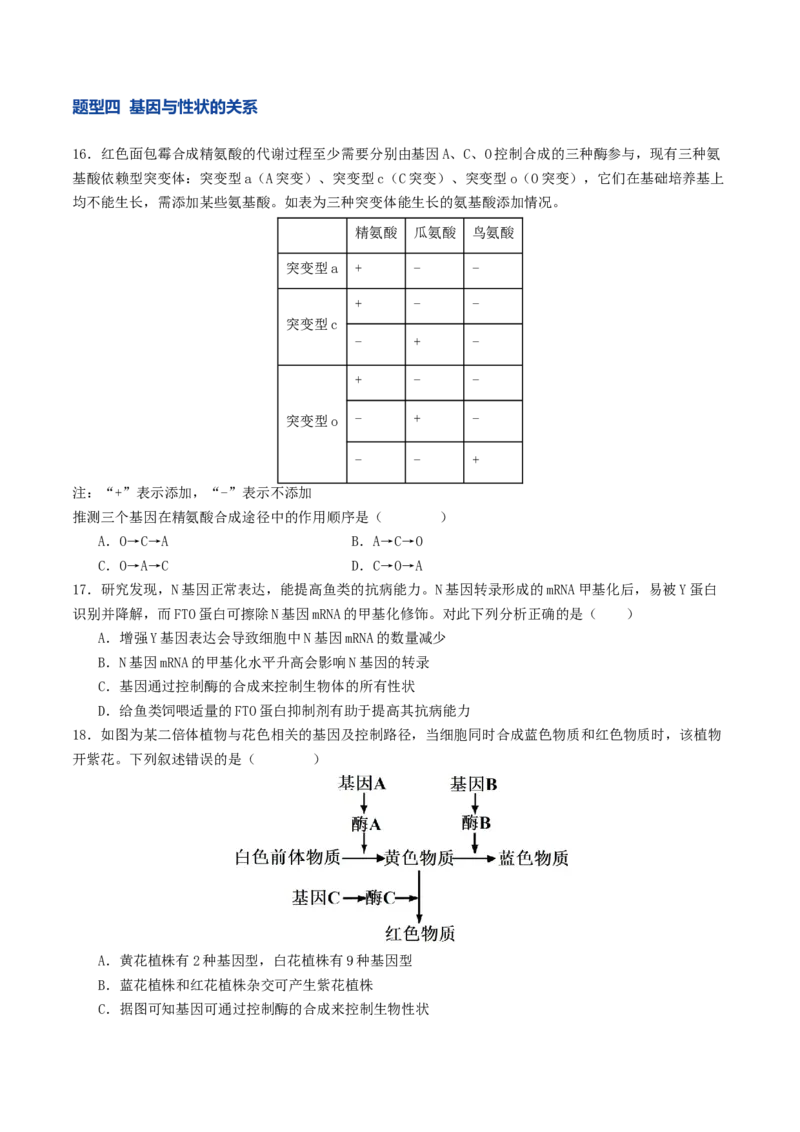 《第21讲基因的表达、基因与性状的关系（专项训练）（学生版）_高考一二三轮复习_生物_2026年高考生物一轮_2026年高考生物一轮复习讲义+练习+课件（新教材新高考）-G55_2026版》第6页预览