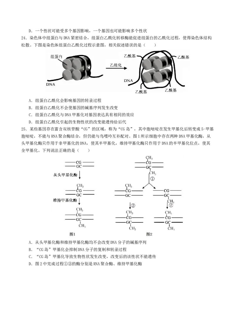 《第21讲基因的表达、基因与性状的关系（专项训练）（学生版）_高考一二三轮复习_生物_2026年高考生物一轮_2026年高考生物一轮复习讲义+练习+课件（新教材新高考）-G55_2026版》第8页预览