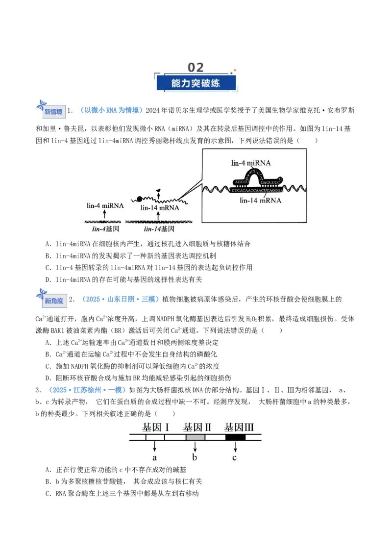 《第21讲基因的表达、基因与性状的关系（专项训练）（学生版）_高考一二三轮复习_生物_2026年高考生物一轮_2026年高考生物一轮复习讲义+练习+课件（新教材新高考）-G55_2026版》第9页预览