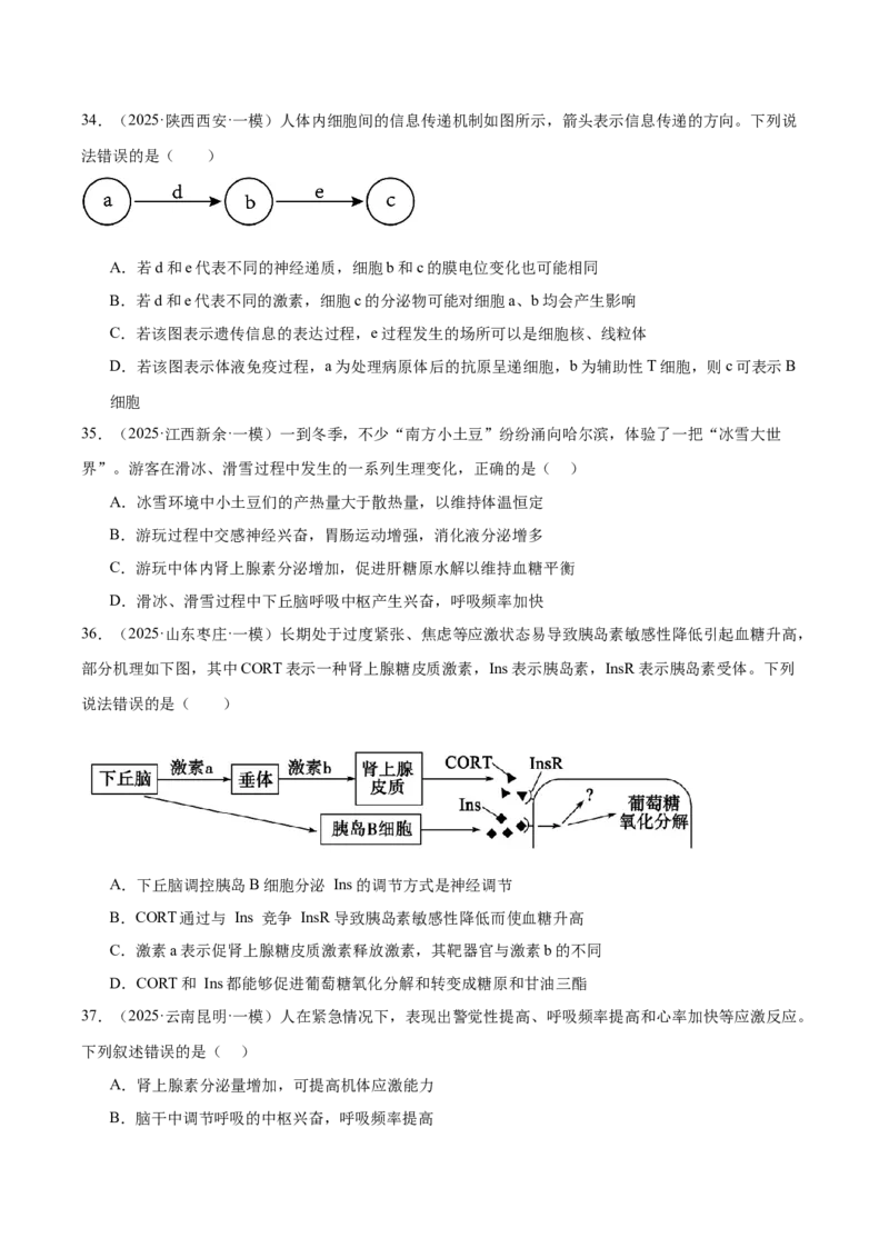 《专题09体液调节（学生版）_高考一二三轮复习_生物_2026年-生物高考专项复习_2025年高考生物一模试题分类汇编（新高考通用）》第10页预览