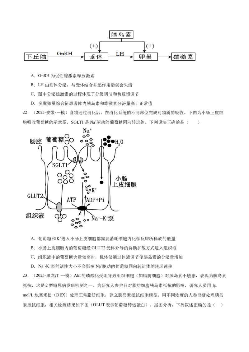 《专题09体液调节（学生版）_高考一二三轮复习_生物_2026年-生物高考专项复习_2025年高考生物一模试题分类汇编（新高考通用）》第6页预览