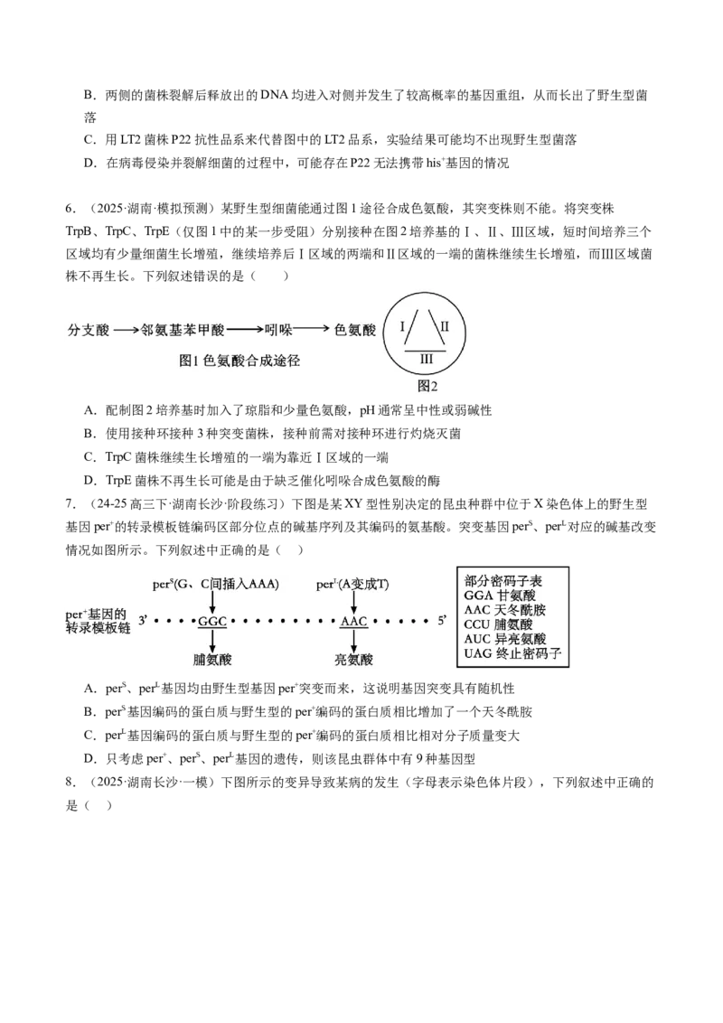 《第22讲生物的变异（专项训练）（学生版）_高考一二三轮复习_生物_2026年高考生物一轮_2026年高考生物一轮课件+讲义+练习（湖南专用）-G331》第10页预览