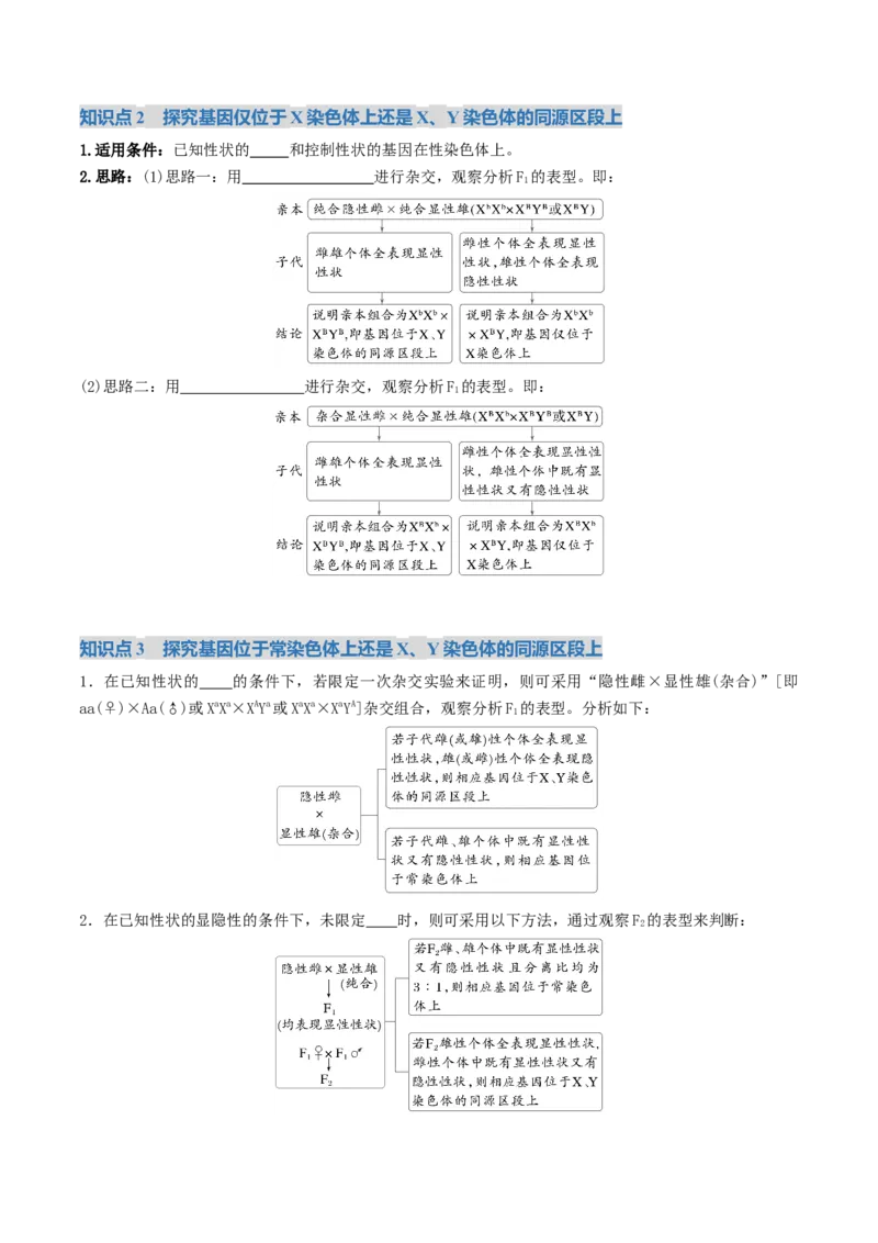 《第18讲遗传综合实验分析（复习讲义）（全国通用）（学生版）_高考一二三轮复习_生物_2026年高考生物一轮_2026年高考生物一轮复习讲义+练习+课件（新教材新高考）-G55_2026版》第4页预览