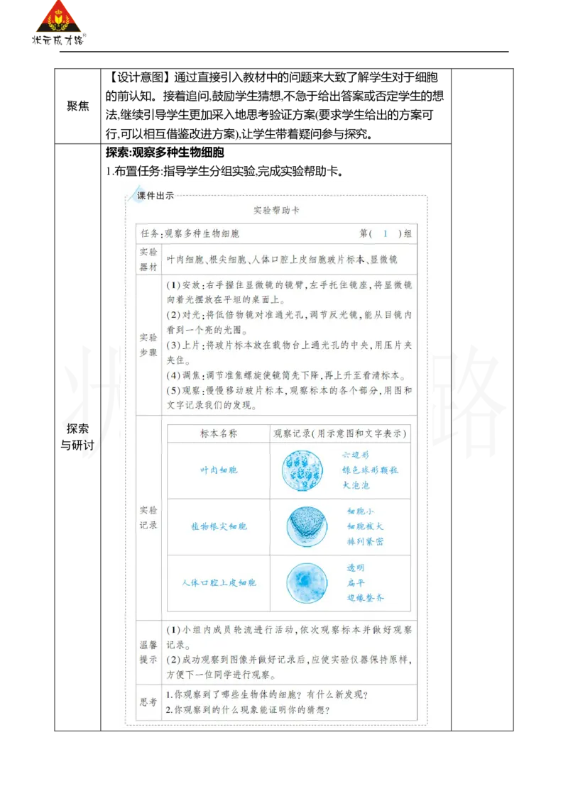 《第5课观察更多的生物细胞_26春小学语数英道科各版本《课件+教案》_26春人教版语数《状元大课堂》课件+教案_25秋_科学《状元大课堂》教案+课件教科25秋_六年级_教科6科上教案》第2页预览