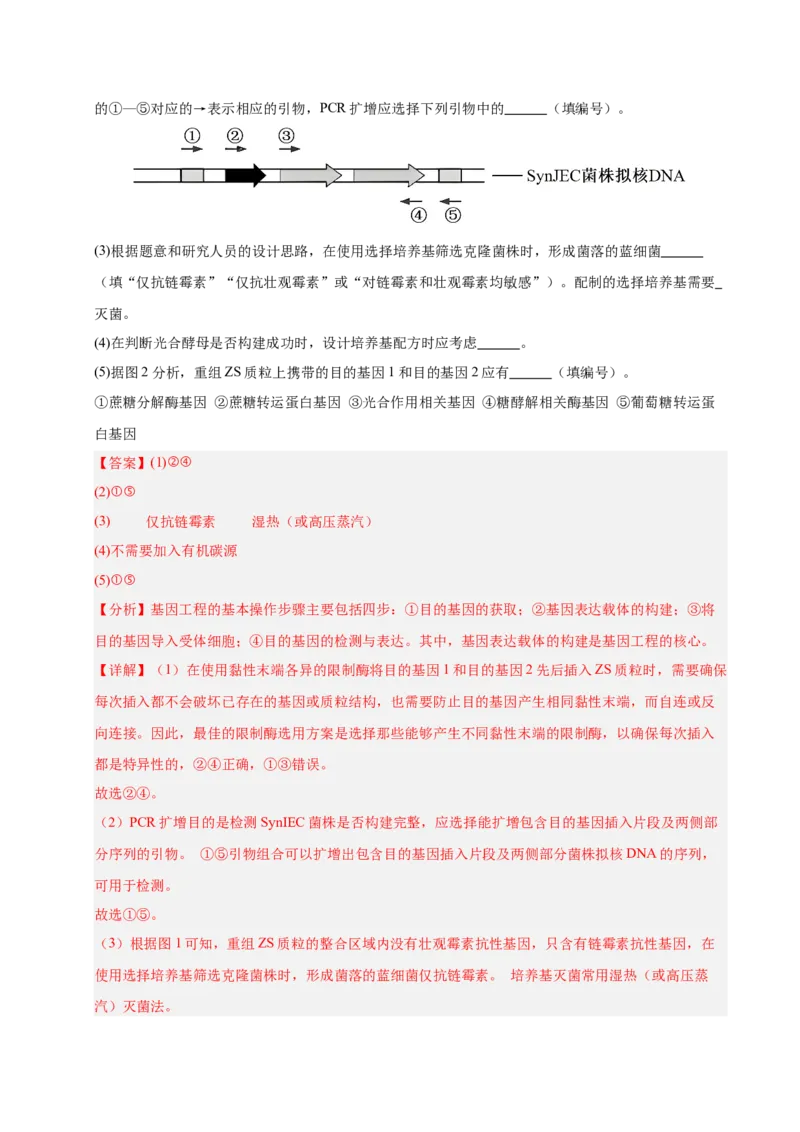《专题08生物技术与工程（教师版）_高考一二三轮复习_生物_2026年-生物高考专项复习_2025年高考生物二模试题分类汇编（安徽专用）》第7页预览