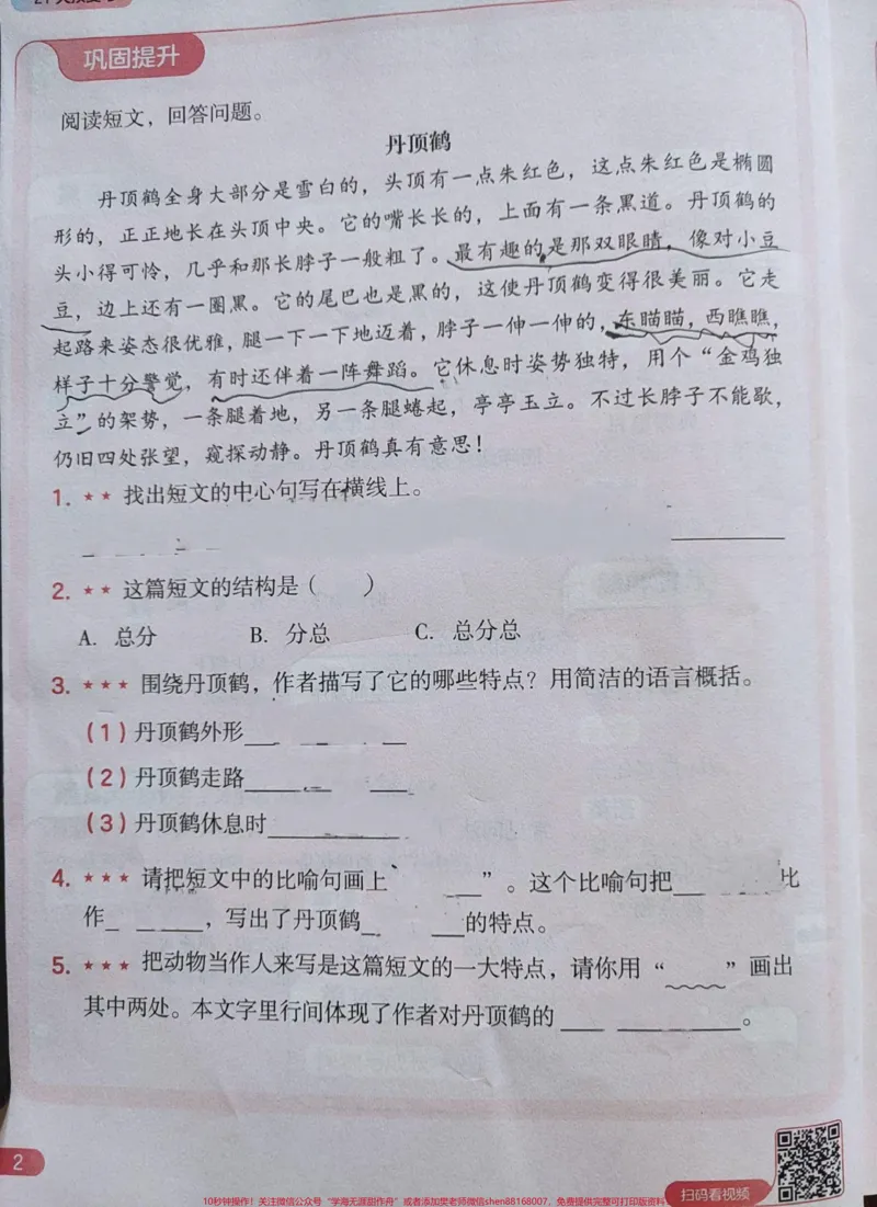 《21天预复习语数英(第2周-高途3升4)#21天预复习语数英(第2周-高途3升4)√全套自主学习方案→暑假衔接#3升4_最新小学1-9年级各科+幼升小+综合类学习资源汇总包》第4页预览