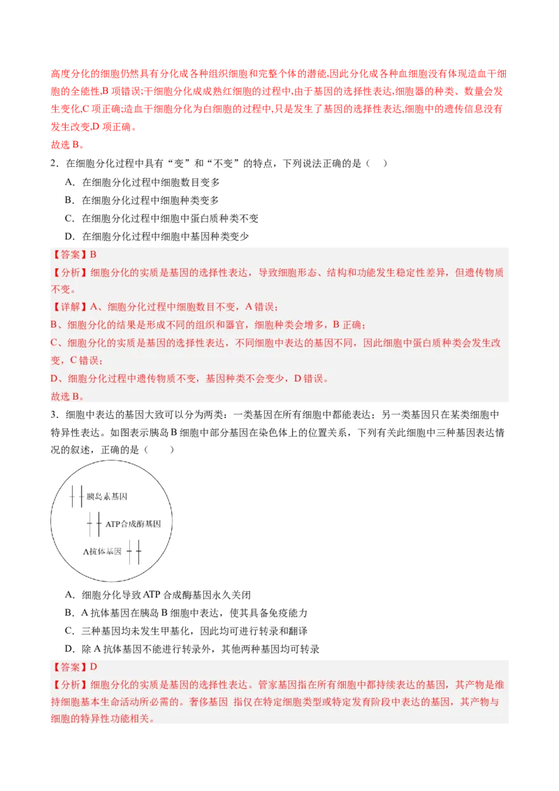 《第13讲细胞的分化、衰老、死亡（专项训练）（黑吉辽蒙专用）（教师版）_高考一二三轮复习_生物_2026年高考生物一轮_2026年高考生物一轮课件+讲义+练习（黑吉辽蒙专用）-G330》第2页预览
