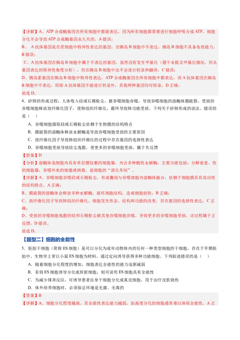 《第13讲细胞的分化、衰老、死亡（专项训练）（黑吉辽蒙专用）（教师版）_高考一二三轮复习_生物_2026年高考生物一轮_2026年高考生物一轮课件+讲义+练习（黑吉辽蒙专用）-G330》第3页预览