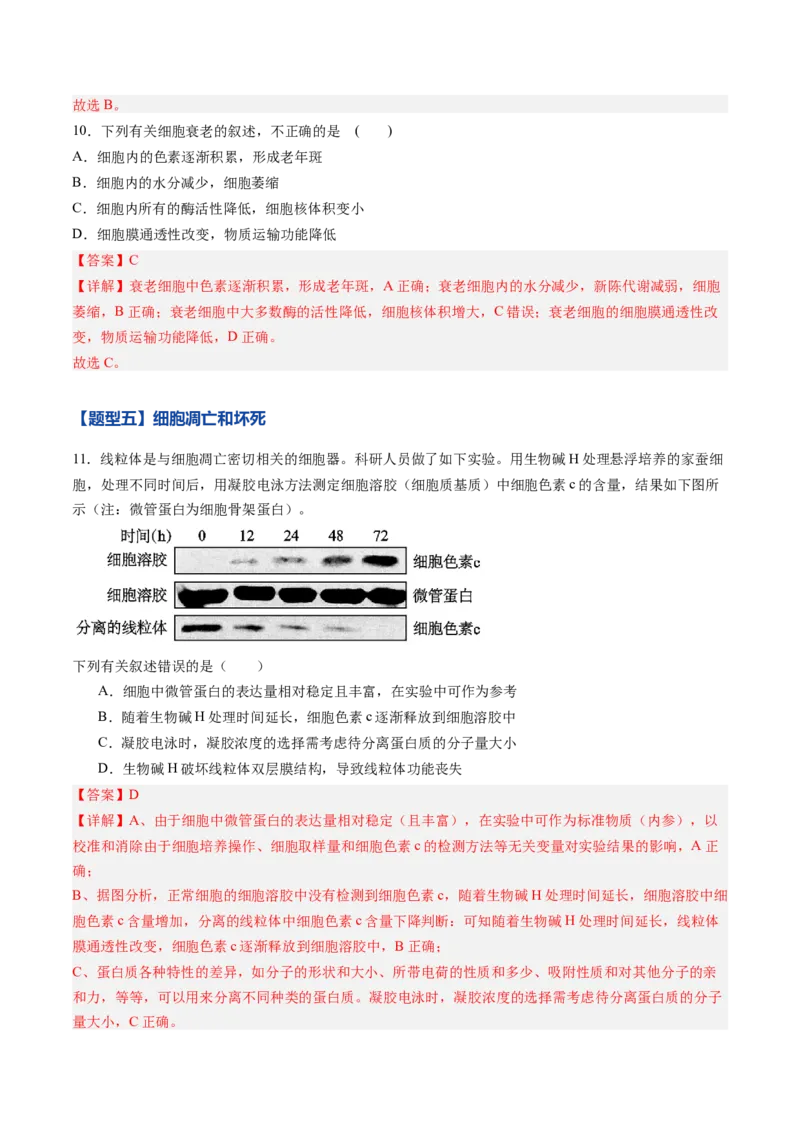 《第13讲细胞的分化、衰老、死亡（专项训练）（黑吉辽蒙专用）（教师版）_高考一二三轮复习_生物_2026年高考生物一轮_2026年高考生物一轮课件+讲义+练习（黑吉辽蒙专用）-G330》第6页预览