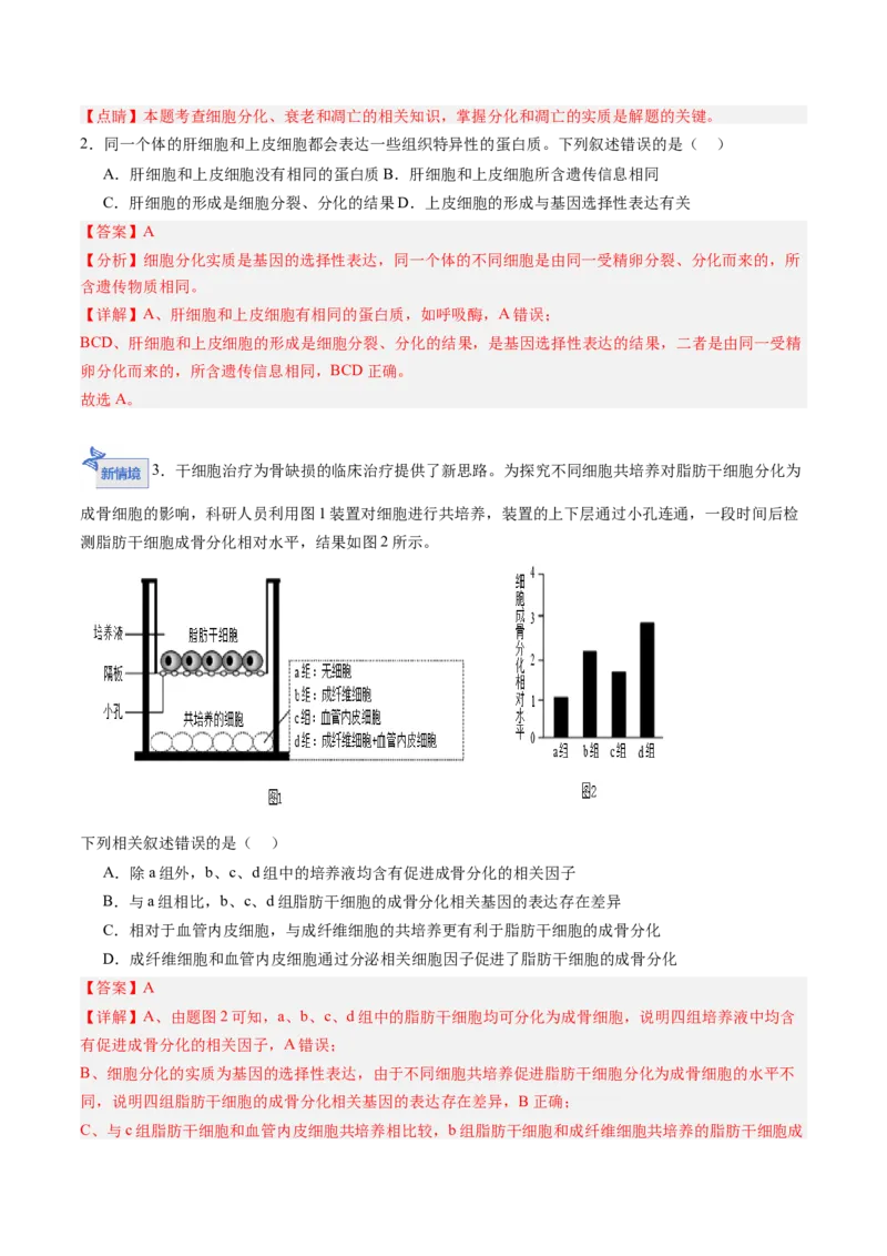 《第13讲细胞的分化、衰老、死亡（专项训练）（黑吉辽蒙专用）（教师版）_高考一二三轮复习_生物_2026年高考生物一轮_2026年高考生物一轮课件+讲义+练习（黑吉辽蒙专用）-G330》第9页预览