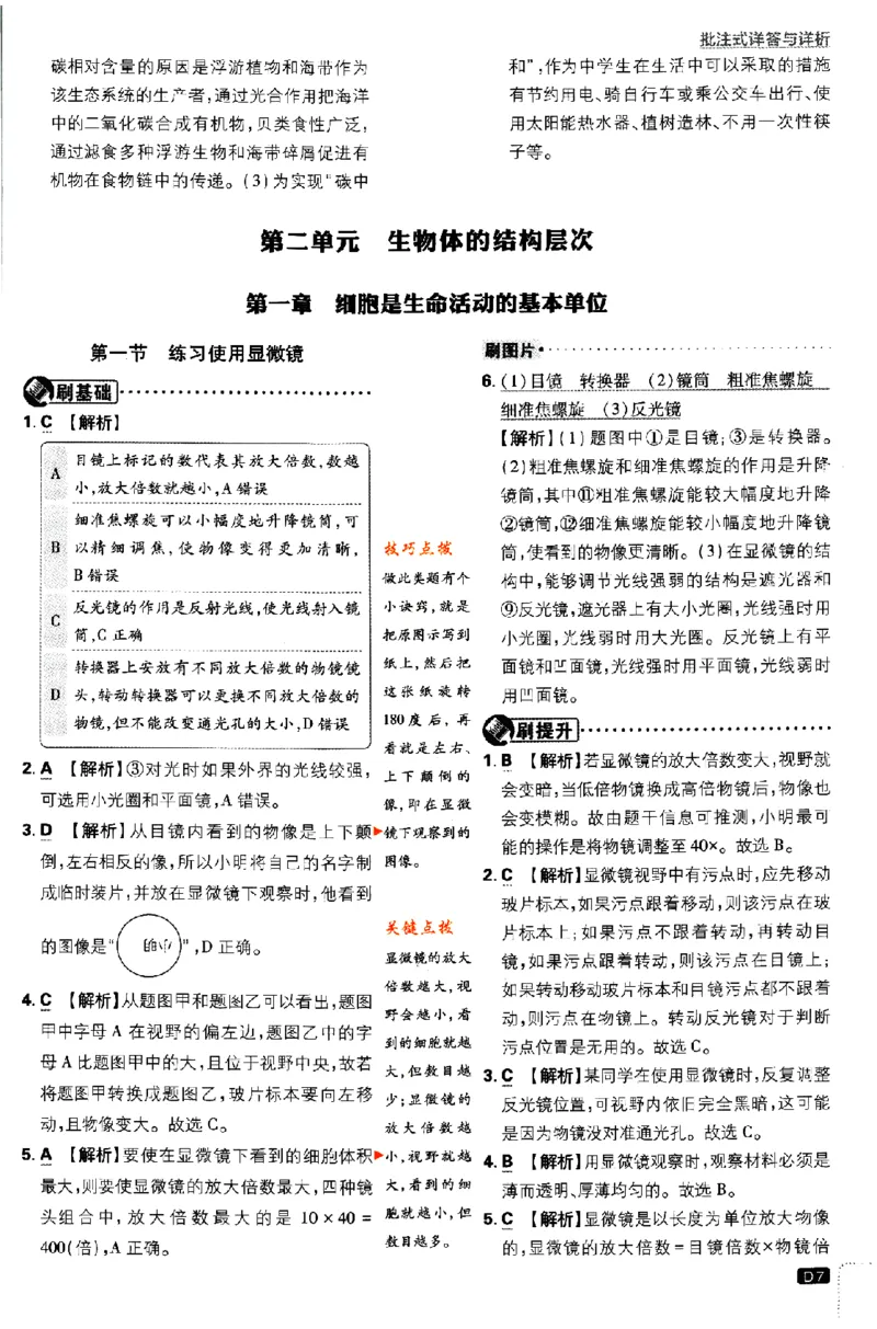 《2024版初中必刷题-七上生物人教版答案解析_初中全科知识点总结和试卷_赠送习题试卷_初中3年学习辅助资料_2、2025初中必刷题合集_初中必刷题23+24+25上册_24初中必刷题上册+下册全_2024版》第7页预览
