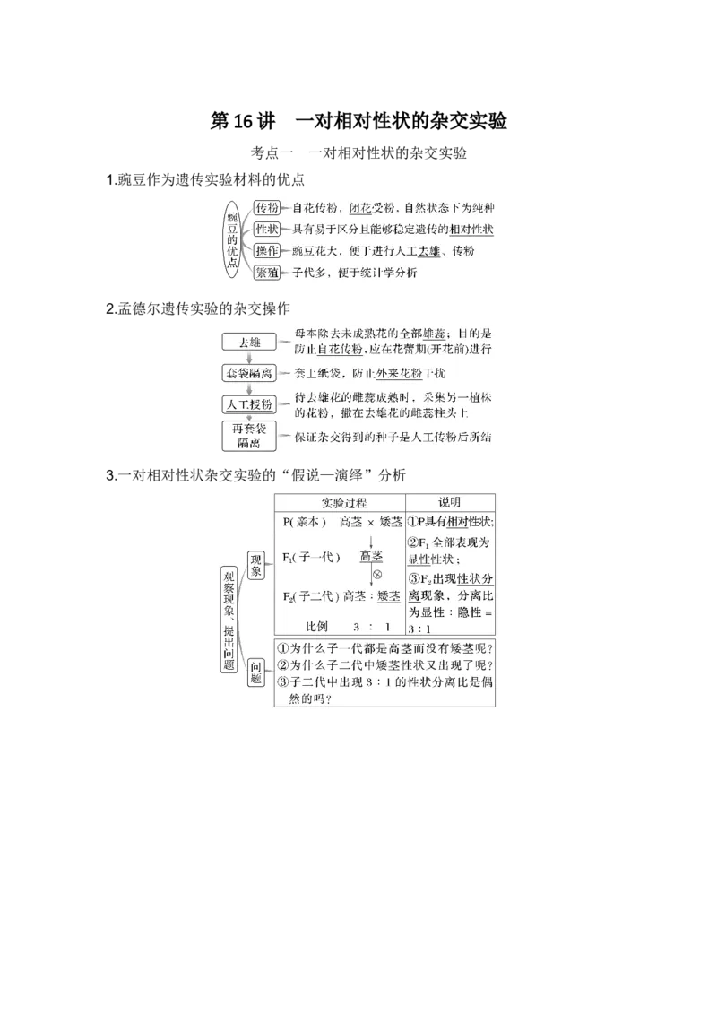 《第16讲一对相对性状的杂交实验_高考一二三轮复习_生物_2027年高考生物一轮_12027年高考生物一轮复习讲义（考点详解）》第1页预览