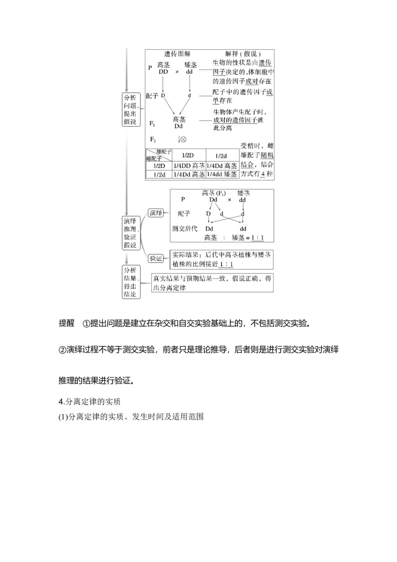 《第16讲一对相对性状的杂交实验_高考一二三轮复习_生物_2027年高考生物一轮_12027年高考生物一轮复习讲义（考点详解）》第2页预览