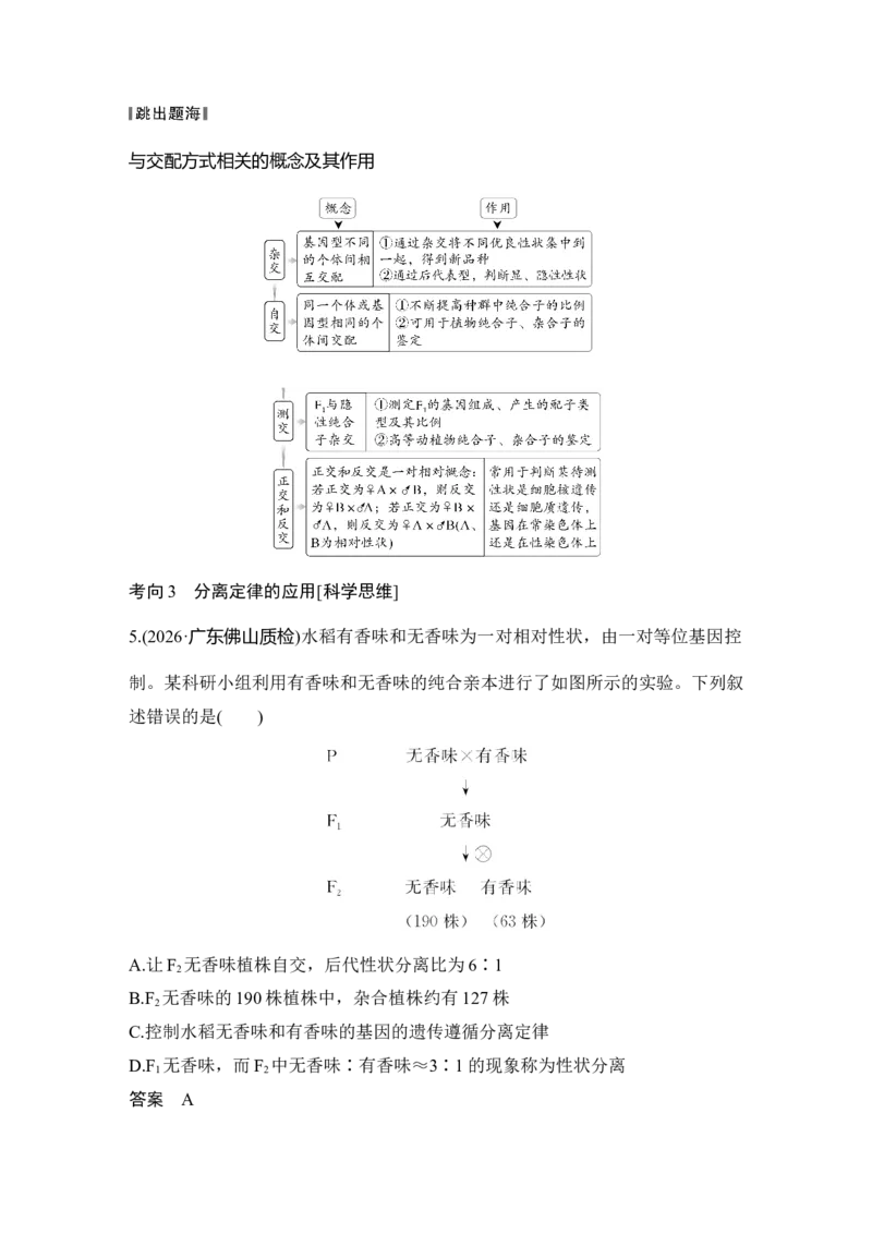 《第16讲一对相对性状的杂交实验_高考一二三轮复习_生物_2027年高考生物一轮_12027年高考生物一轮复习讲义（考点详解）》第6页预览