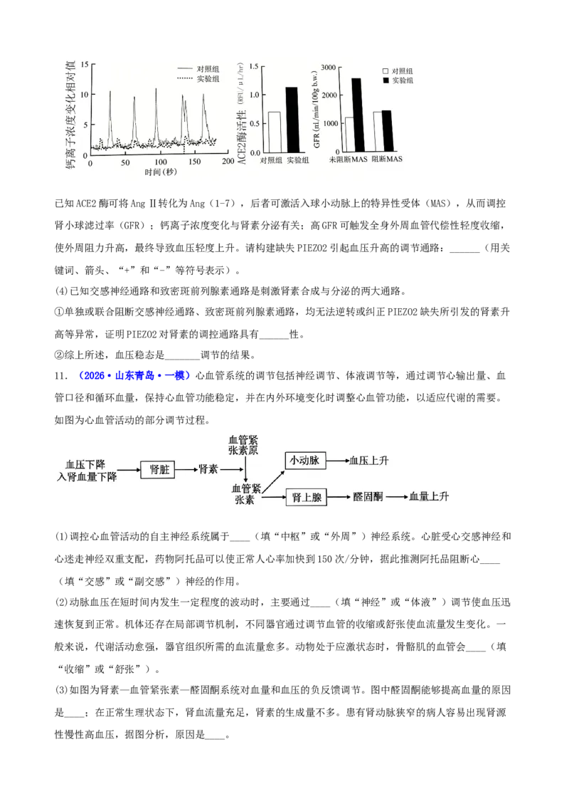 《专题08体液调节与免疫调节（学生版）_高考一二三轮复习_生物_2027年高考生物专项_2026年高考生物一模试题分类汇编（新高考通用）-G178_2026版》第10页预览