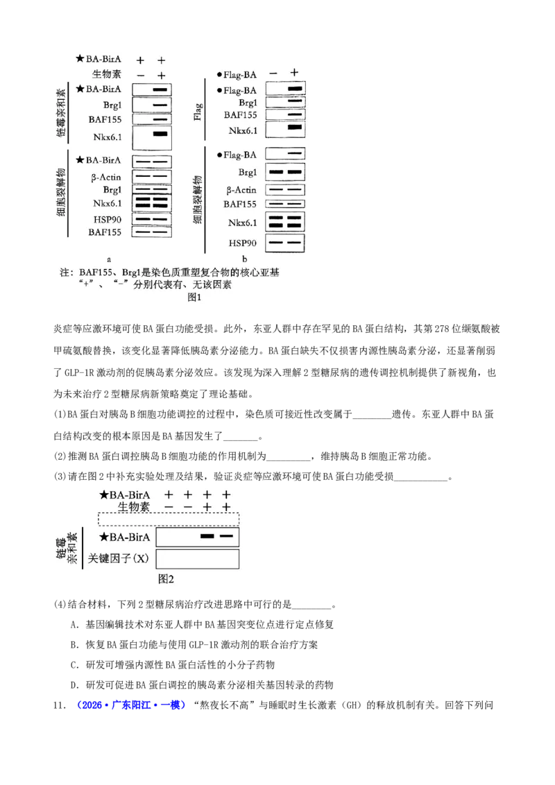 《专题08体液调节与免疫调节（学生版）_高考一二三轮复习_生物_2027年高考生物专项_2026年高考生物一模试题分类汇编（新高考通用）-G178_2026版》第5页预览