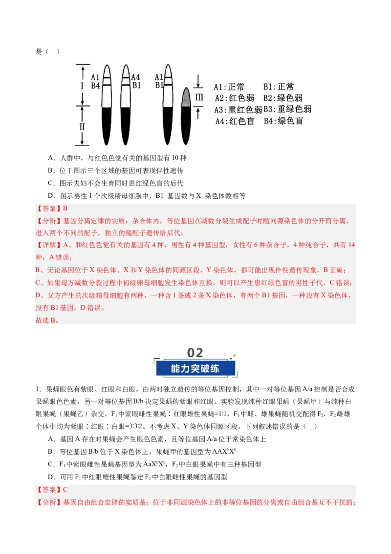 《第18讲伴性遗传和人类遗传病（专项训练）（安徽专用）（教师版）_高考一二三轮复习_生物_2026年高考生物一轮_2026年高考生物一轮课件+讲义+练习（安徽专用）-G326》第10页预览