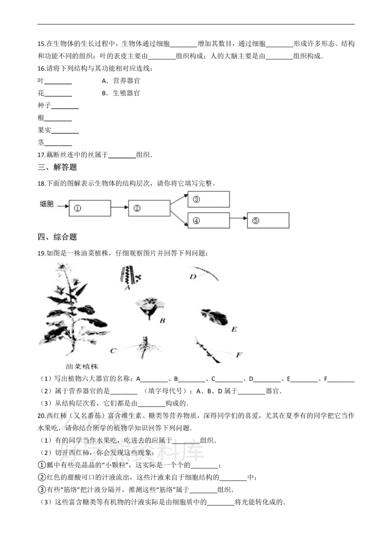 《七年级上册生物第二章生物体的结构层次单元测试（含解析）_初高中资料库_初中资料库（转存避免链接过期失效）_初中生物》第2页预览
