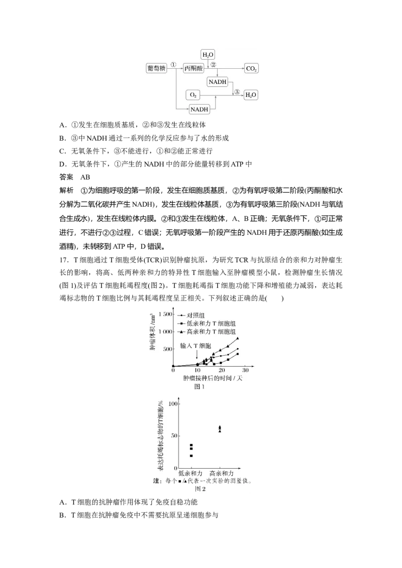 《生物2025年高考真题——黑龙江、吉林、辽宁、内蒙古卷（精校版）(1)_2026版高中《二三轮复习+冲刺复习》_2021-2025生物高考题_2025生物高考题_教师》第7页预览