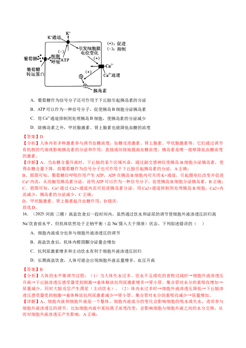 《专题09体液调节和免疫调节（教师版）_高考一二三轮复习_生物_2026年-生物高考专项复习_2025年高考生物三模试题分类汇编（新高考通用）_2025版》第9页预览
