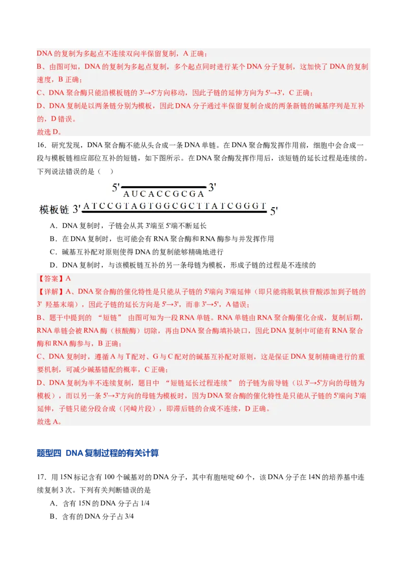 《第21讲DNA分子的结构、复制与基因的本质（专项训练）（安徽专用）（教师版）_高考一二三轮复习_生物_2026年高考生物一轮_2026年高考生物一轮课件+讲义+练习（安徽专用）-G326》第10页预览
