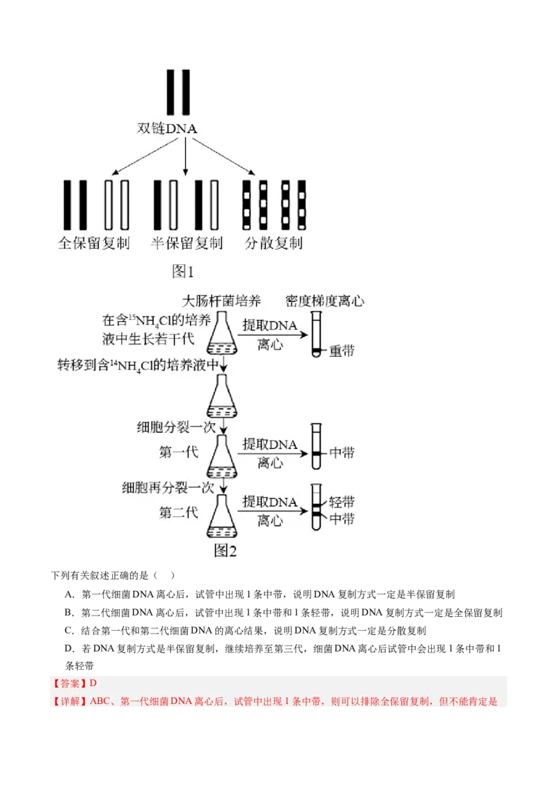 《第21讲DNA分子的结构、复制与基因的本质（专项训练）（安徽专用）（教师版）_高考一二三轮复习_生物_2026年高考生物一轮_2026年高考生物一轮课件+讲义+练习（安徽专用）-G326》第5页预览