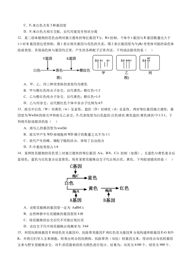 《第17讲自由组合定律（专项训练）（安徽专用）（学生版）_高考一二三轮复习_生物_2026年高考生物一轮_2026年高考生物一轮课件+讲义+练习（安徽专用）-G326》第8页预览