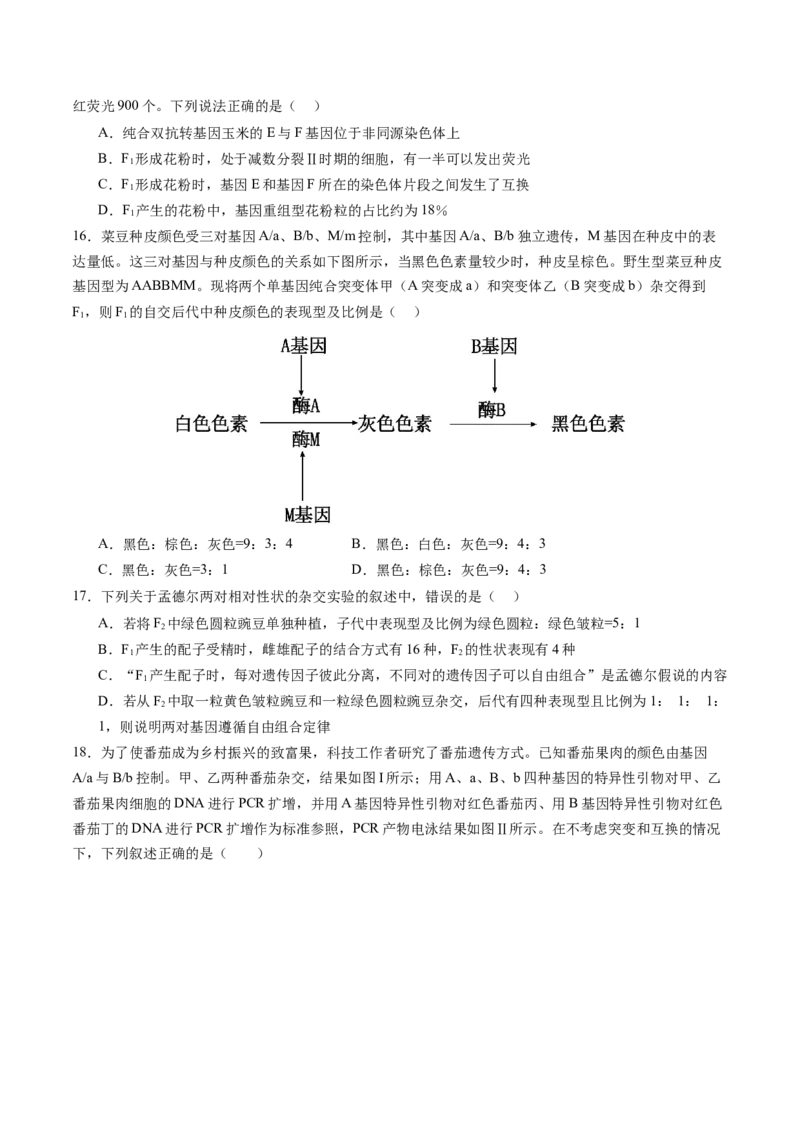 《第17讲自由组合定律（专项训练）（安徽专用）（学生版）_高考一二三轮复习_生物_2026年高考生物一轮_2026年高考生物一轮课件+讲义+练习（安徽专用）-G326》第9页预览