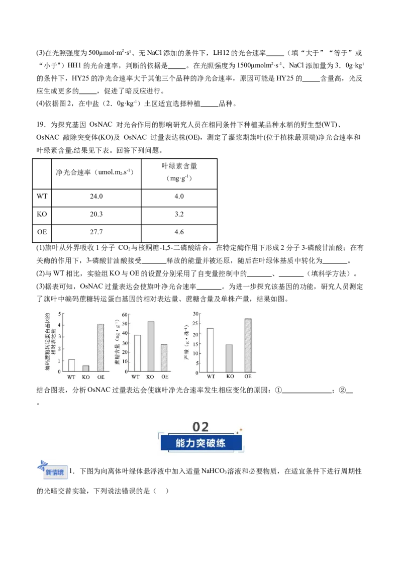 《第12讲细胞代谢综合分析（专项训练）（福建专用）（学生版）_高考一二三轮复习_生物_2026年高考生物一轮_2026年高考生物一轮课件+讲义+练习（福建专用）-G328》第10页预览