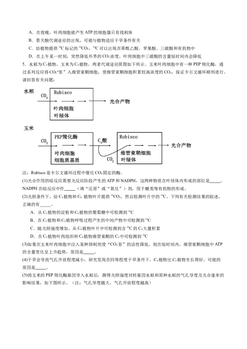 《第12讲细胞代谢综合分析（专项训练）（福建专用）（学生版）_高考一二三轮复习_生物_2026年高考生物一轮_2026年高考生物一轮课件+讲义+练习（福建专用）-G328》第3页预览
