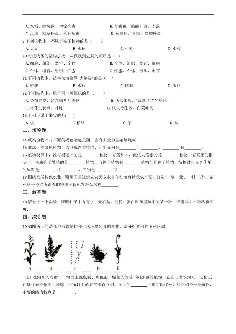 《七年级上册生物第三章形形色色的植物单元测试（含解析）_初高中资料库_初中资料库（转存避免链接过期失效）_初中生物》第2页预览