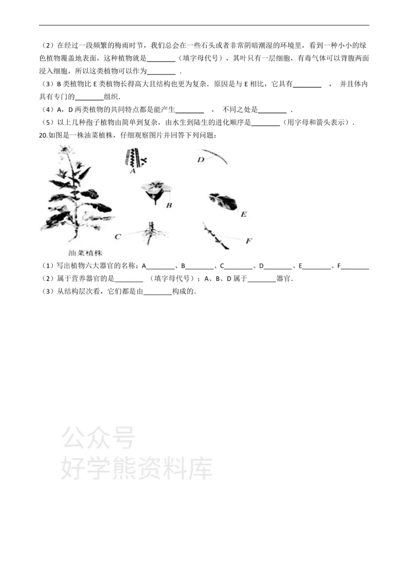 《七年级上册生物第三章形形色色的植物单元测试（含解析）_初高中资料库_初中资料库（转存避免链接过期失效）_初中生物》第3页预览