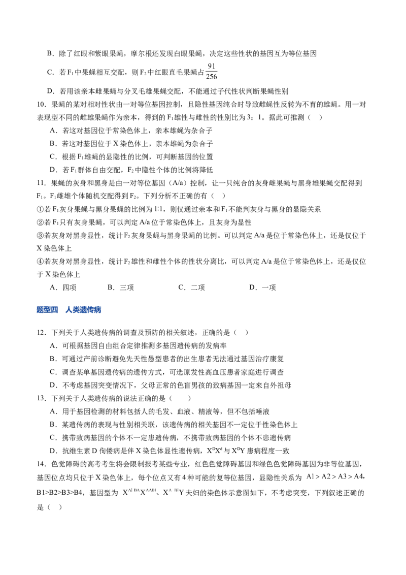《第18讲伴性遗传和人类遗传病（专项训练）（安徽专用）（学生版）_高考一二三轮复习_生物_2026年高考生物一轮_2026年高考生物一轮课件+讲义+练习（安徽专用）-G326》第4页预览