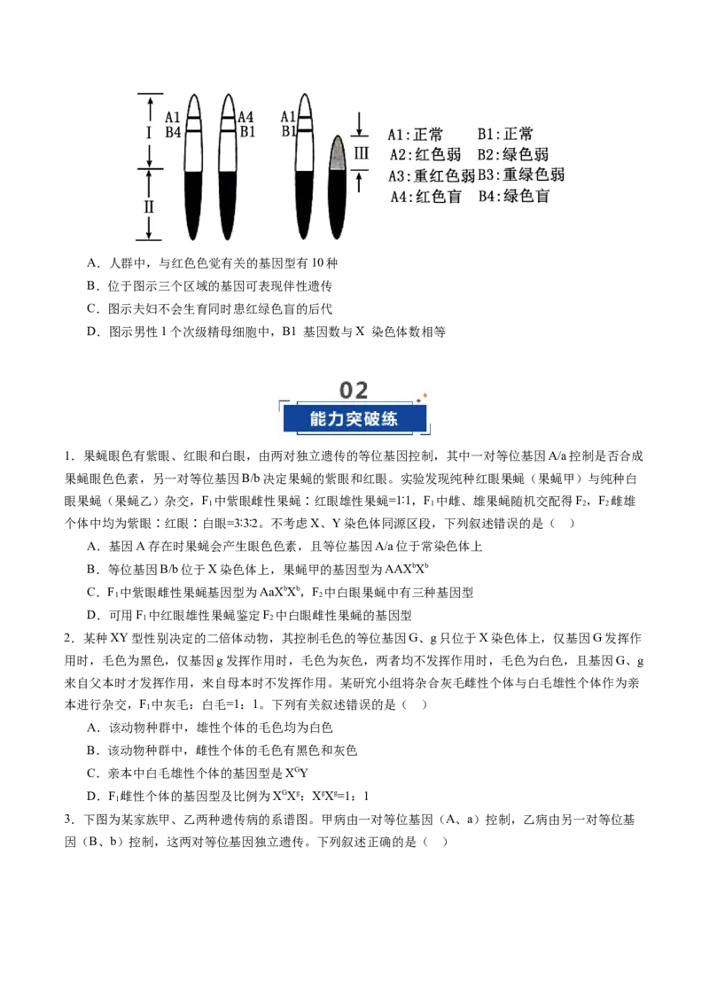 《第18讲伴性遗传和人类遗传病（专项训练）（安徽专用）（学生版）_高考一二三轮复习_生物_2026年高考生物一轮_2026年高考生物一轮课件+讲义+练习（安徽专用）-G326》第5页预览