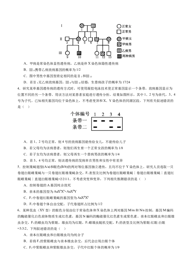 《第18讲伴性遗传和人类遗传病（专项训练）（安徽专用）（学生版）_高考一二三轮复习_生物_2026年高考生物一轮_2026年高考生物一轮课件+讲义+练习（安徽专用）-G326》第6页预览
