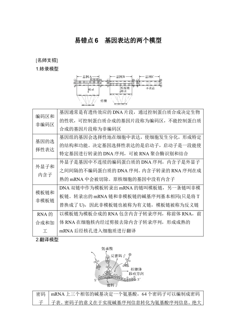 《易错点6基因表达的两个模型_2026版高中《二三轮复习+冲刺复习》_高考生物生物二轮2026届高考生物步步高大二轮专题复习教师用书(word版)+教师用书配套PPT+题库(word版)(完整版)》第1页预览