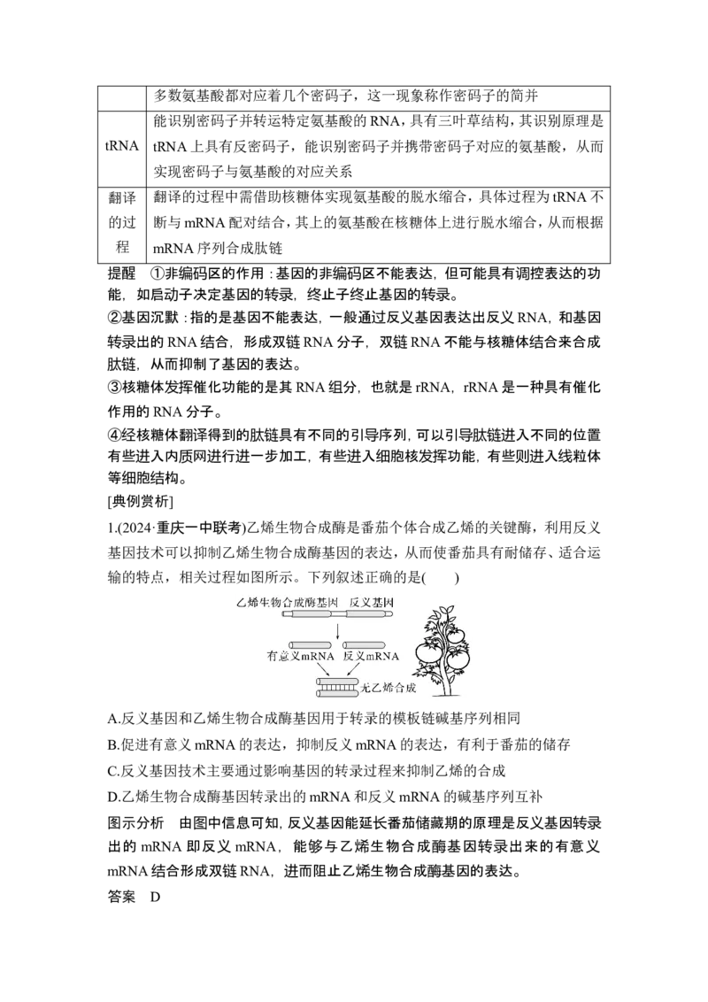 《易错点6基因表达的两个模型_2026版高中《二三轮复习+冲刺复习》_高考生物生物二轮2026届高考生物步步高大二轮专题复习教师用书(word版)+教师用书配套PPT+题库(word版)(完整版)》第2页预览