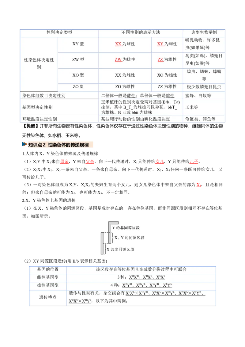 《第17讲伴性遗传和人类遗传病（复习讲义）（全国通用）（教师版）_高考一二三轮复习_生物_2027年高考生物一轮_2027年高考生物一轮复习讲义+练习+课件（新教材新高考）-G55_2027版》第10页预览