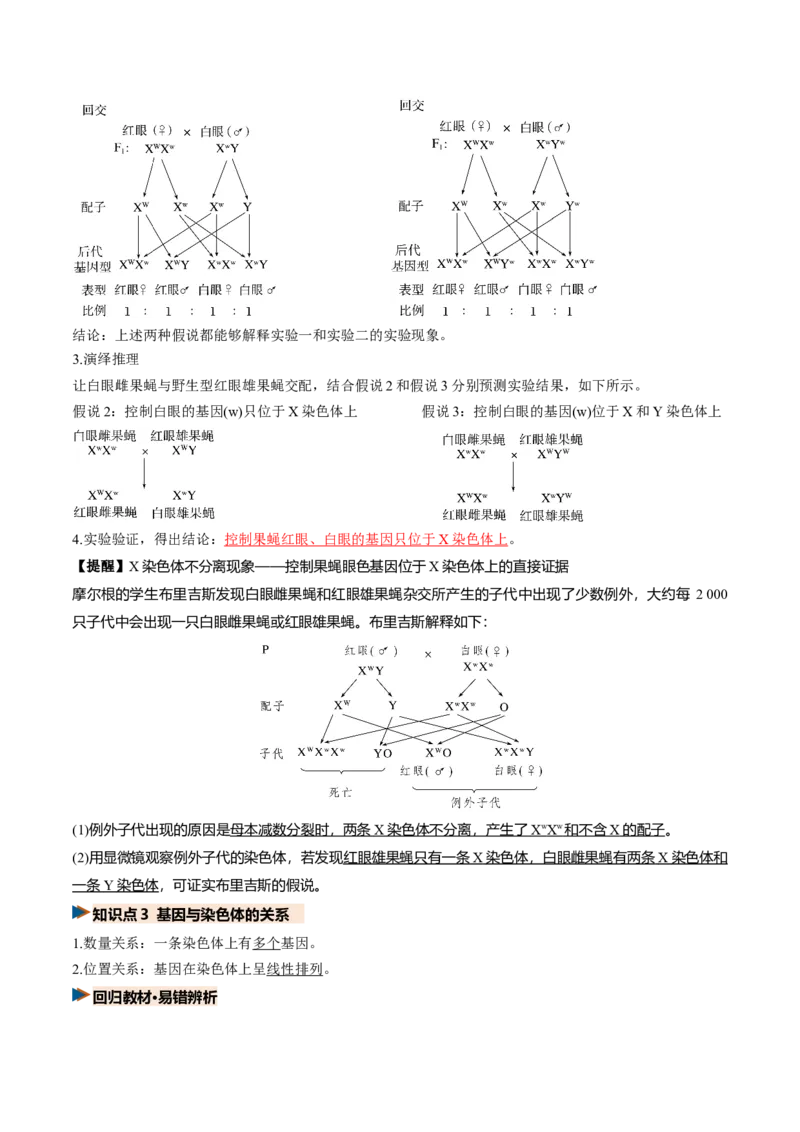 《第17讲伴性遗传和人类遗传病（复习讲义）（全国通用）（教师版）_高考一二三轮复习_生物_2027年高考生物一轮_2027年高考生物一轮复习讲义+练习+课件（新教材新高考）-G55_2027版》第6页预览