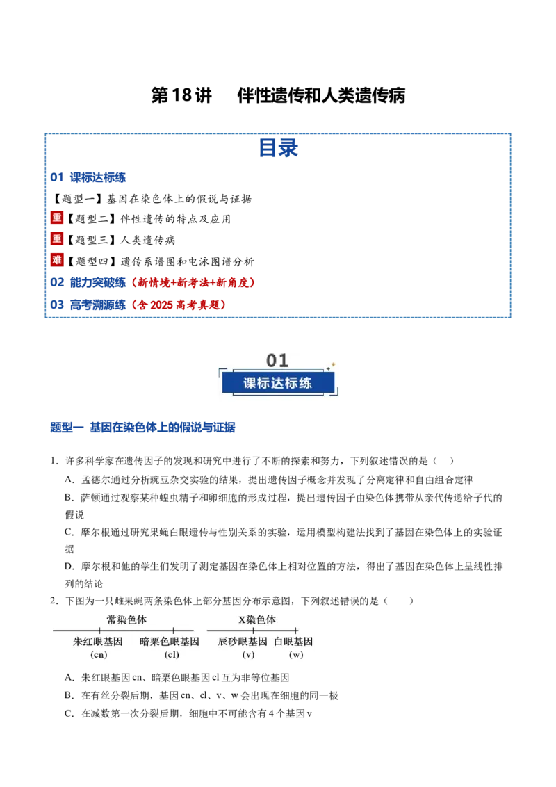 《第18讲伴性遗传和人类遗传病（专项训练）（福建专用）（学生版）_高考一二三轮复习_生物_2026年高考生物一轮_2026年高考生物一轮课件+讲义+练习（福建专用）-G328》第1页预览