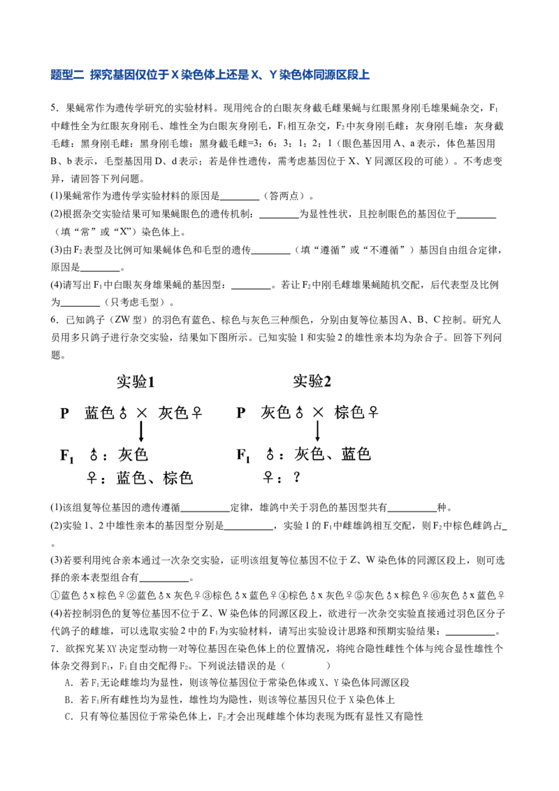 《第18讲遗传综合实验分析（专项训练）（学生版）_高考一二三轮复习_生物_2026年高考生物一轮_2026年高考生物一轮课件+讲义+练习（湖南专用）-G331》第3页预览