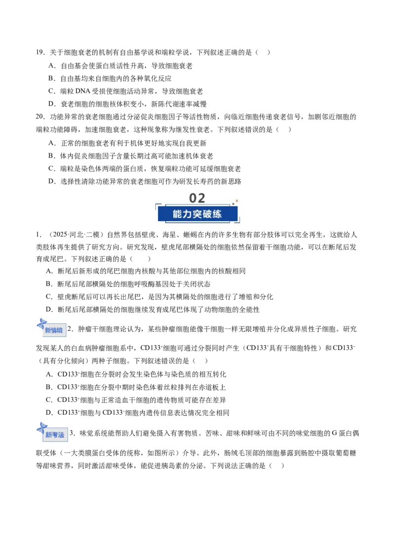 《第14讲细胞的分化、衰老和死亡（专项训练）（四川专用）（学生版）_高考一二三轮复习_生物_2026年高考生物一轮_2026年高考生物一轮课件+讲义+练习（四川专用）-G335》第5页预览