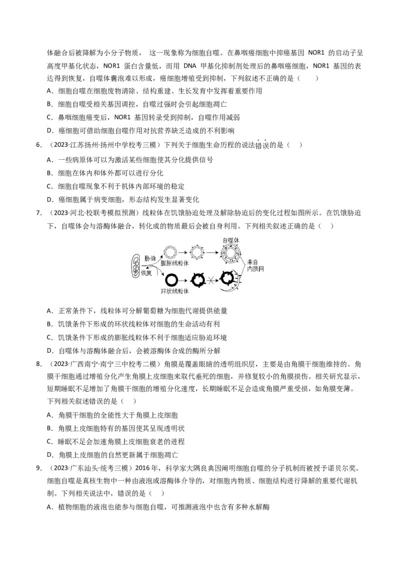 《专题05细胞的生命历程（学生版）_初高中资料库_高中资料库（转存避免链接过期失效）_高中生物》第5页预览