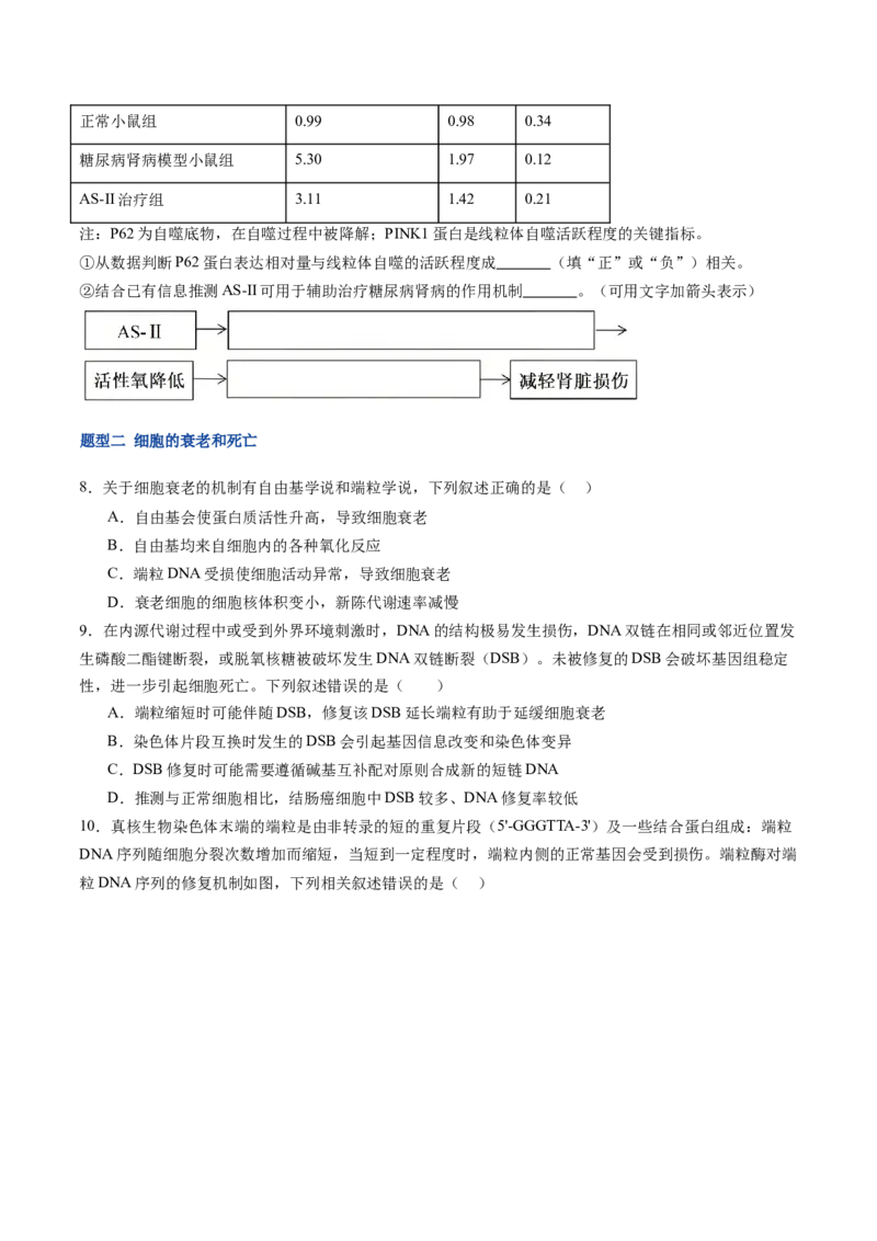 《第15讲细胞的分化、衰老和死亡（专项训练）（福建专用）（学生版）_高考一二三轮复习_生物_2026年高考生物一轮_2026年高考生物一轮课件+讲义+练习（福建专用）-G328》第3页预览