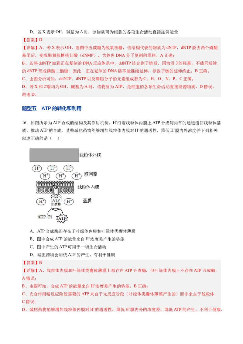 《第09讲酶和ATP（专项训练）（安徽专用）（教师版）_高考一二三轮复习_生物_2026年高考生物一轮_2026年高考生物一轮课件+讲义+练习（安徽专用）-G326》第10页预览