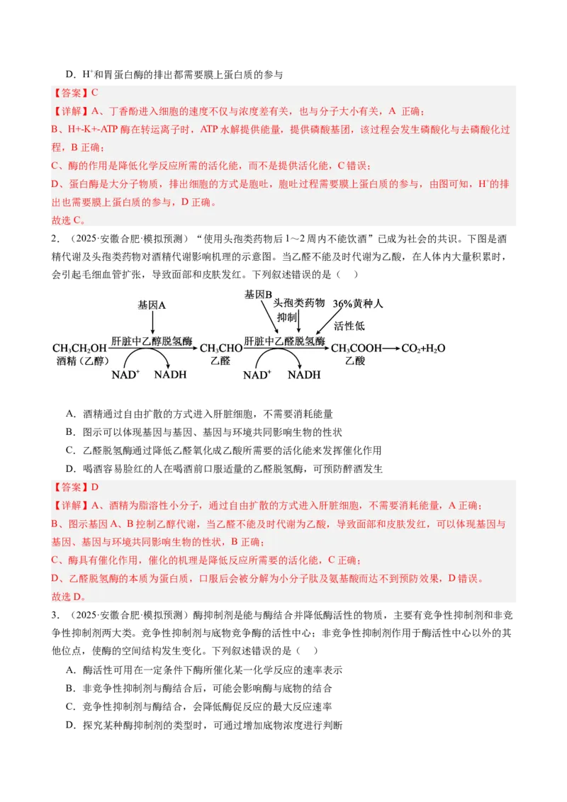 《第09讲酶和ATP（专项训练）（安徽专用）（教师版）_高考一二三轮复习_生物_2026年高考生物一轮_2026年高考生物一轮课件+讲义+练习（安徽专用）-G326》第2页预览