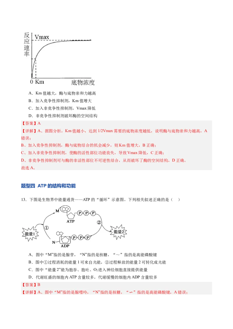 《第09讲酶和ATP（专项训练）（安徽专用）（教师版）_高考一二三轮复习_生物_2026年高考生物一轮_2026年高考生物一轮课件+讲义+练习（安徽专用）-G326》第8页预览