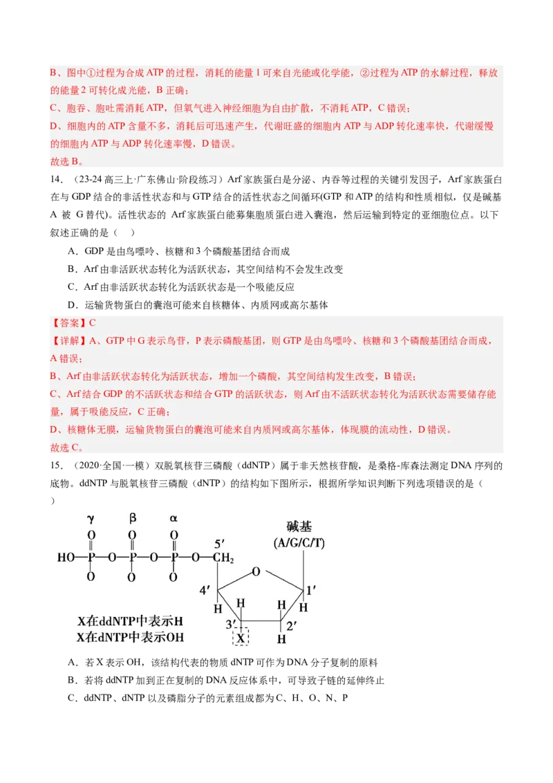《第09讲酶和ATP（专项训练）（安徽专用）（教师版）_高考一二三轮复习_生物_2026年高考生物一轮_2026年高考生物一轮课件+讲义+练习（安徽专用）-G326》第9页预览